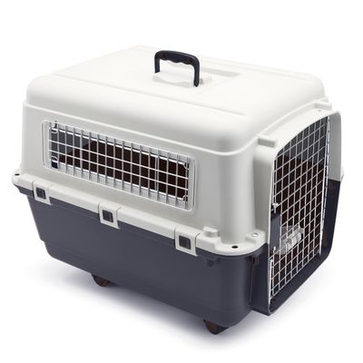 Transport Crate with Wheels